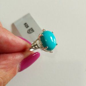 Sleeping Beauty Turquoise 925 Sterling Silver Ring